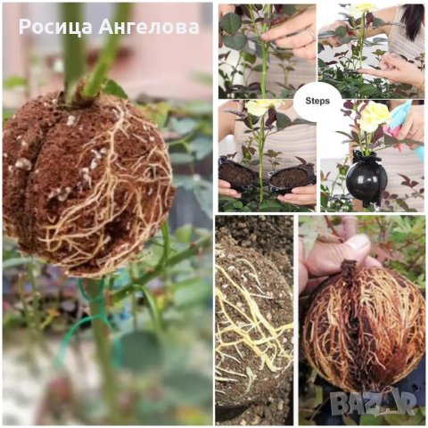 Комплект 2бр.