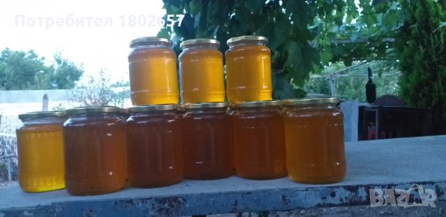 Български био пчелен мед от производител, снимка 1