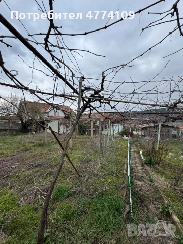 Продава се къща с двор 540 кв.м в с. Присово, снимка 7 - Къщи - 53936155