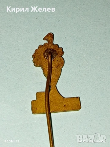 Значка сувенир от Зоологическата градина от БУДАПЕЩА за КОЛЕКЦИЯ 51673, снимка 6 - Колекции - 53164328