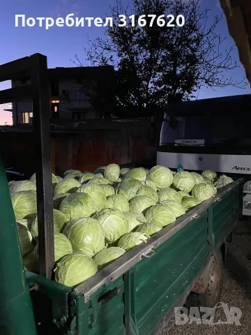 Продавам зеле!!