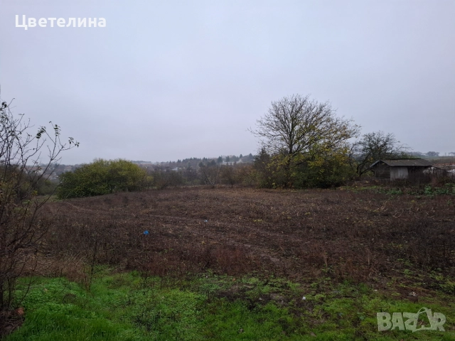 Дворно място Житница Добрич СПЕШНО, снимка 5 - Парцели - 52746056