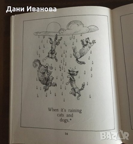 A PICTURE BOOK OF RIDDLES – образователна книжка на английски език, снимка 10 - Чуждоезиково обучение, речници - 34350152