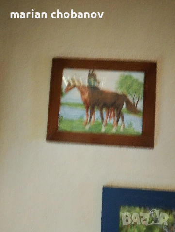 РЪЧНО ШИТИ ГОБЛЕНИ , снимка 8 - Гоблени - 53109172