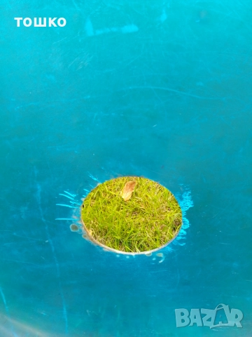 Тава за захарен памук , снимка 5 - Съдове за готвене - 51896297