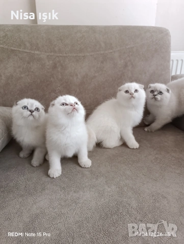 не са красиви те са уникални в Хасково свикнали с малко детенце