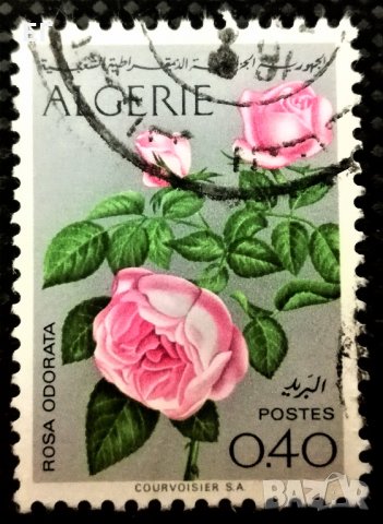Алжир, 1973 г. - марка от серия, "Цветя", "Рози", 1*1