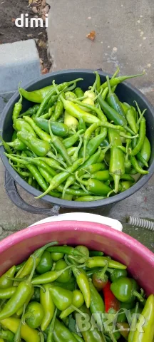 Продавам Люто от Нашата Градина🌶️🌶️🌶️ , снимка 2 - Домашни продукти - 55779621