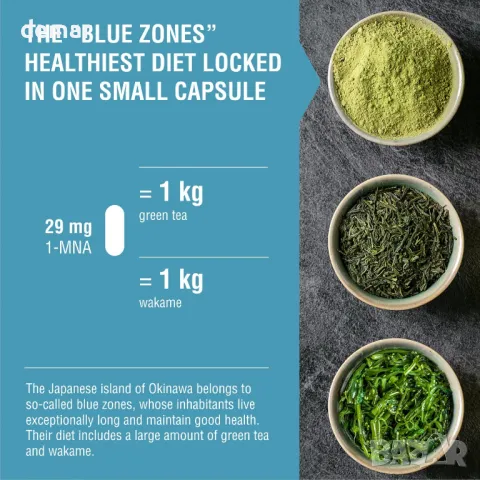 Endotelio Brain 1-MNA, Анти-ейджинг, снимка 5 - Хранителни добавки - 49813079