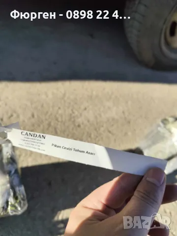  Орех Пекан - Фиданки , снимка 7 - Разсади - 47897202