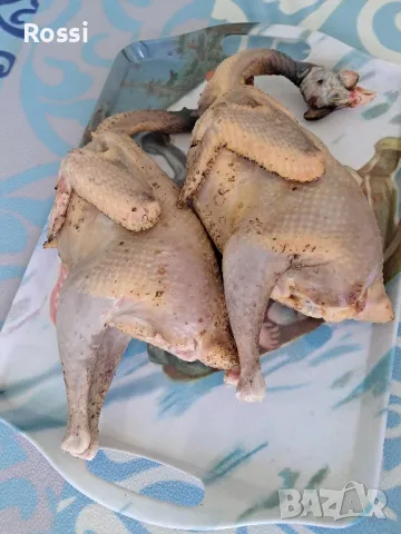 ТОКАЧЕ месо/дивечови птици, снимка 2 - Домашни продукти - 47674644