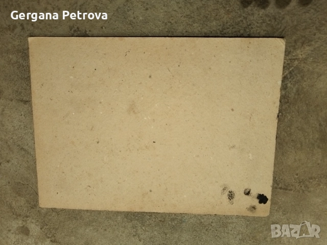 Николай Алексиев картина 1988 г , снимка 3 - Картини - 52150957