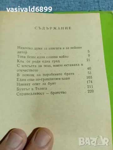 Константин Велики - Под знамето на свободата , снимка 6 - Художествена литература - 56274463