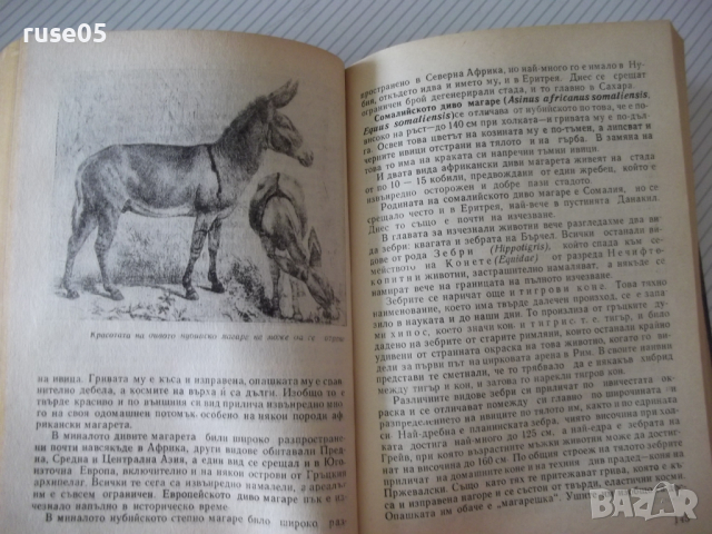 Книга "Изчезнали и изчезващи животни - Н.Николов" - 292 стр., снимка 5 - Специализирана литература - 36561035