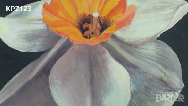 КАРТИНА НАТЮРМОРТ АКВАРЕЛ, снимка 4 - Картини - 29081127