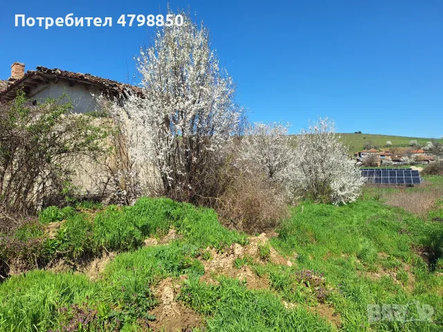 Продавам дворно място в с.Кайнарджа ,обл.Силистра с 30 kW фотоволтаична централа, снимка 4 - Къщи - 55951643