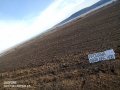 Продава парцел !с.Тополи ! Собственик !, снимка 5
