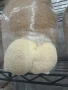 Домашно отгледани гъби Лъвска грива | Fresh Lion's Mane Mushrooms, снимка 6