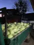 Продавам зеле!!, снимка 1