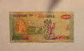 Замбия 1000 квача 1992 година, снимка 2