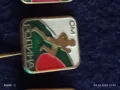 Четири броя спортни значки от соца СМ РОДИНА МЛАДЕЖКИ КРОС за КОЛЕКЦИЯ ДЕКОРАЦИЯ 26598, снимка 4