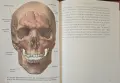 The Head and Neck. Learning How We Use Our Muscles, снимка 9