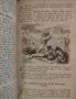 Biblische Geschichte des alten und neuen Testaments für katholische Volksschulen, снимка 3