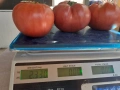 Розови едри домати, снимка 5