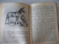 Книга "Изчезнали и изчезващи животни - Н.Николов" - 292 стр., снимка 5