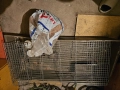 голяма клетка за заек или друг гризач, снимка 6