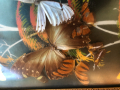 Пано с екзотични пеперуди, снимка 10