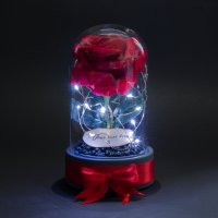 Вечна Роза в Стъкленица с Лампички / LED светлини / Подарък за Рожден Ден - Светеща Вечна Роза, снимка 4 - Подаръци за жени - 42689991