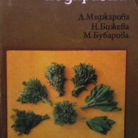 Растения-подправки Д. Маджарова, снимка 1 - Други - 29636006