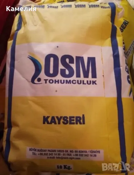 Семе люцерна, снимка 1