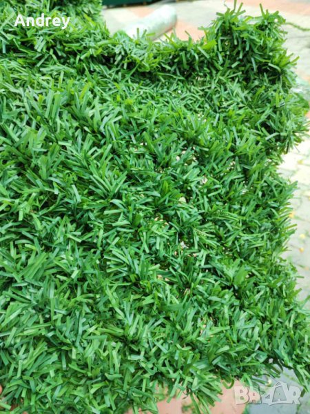 Декоративна мрежа - жива плет, снимка 1