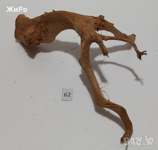 Корен от Азалия /декорация/ 62, снимка 2 - Други - 54102373