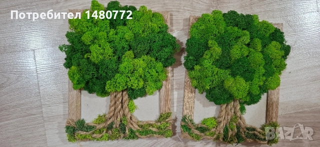 Дърво в рамка със скандинавски мъх, снимка 17 - Декорация за дома - 48071745