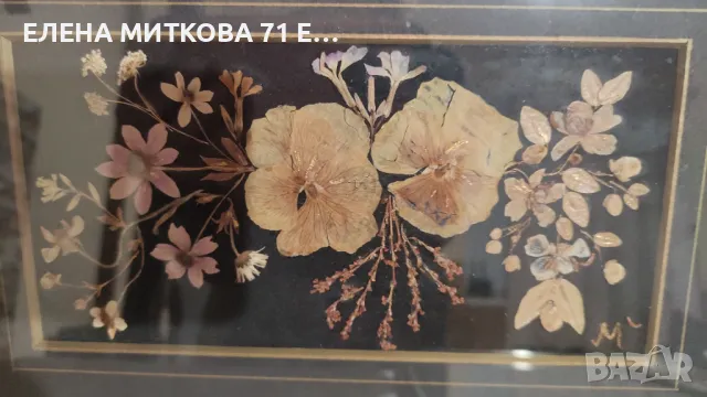 2 картини композиции от изсушени цветя с паспарту и метална рамка остъклени, снимка 5 - Картини - 48733885