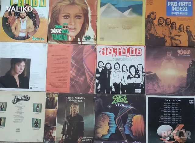 Дългосвирещи грамофонни плочи на популярни изпълнители., снимка 12 - Грамофонни плочи - 56338686