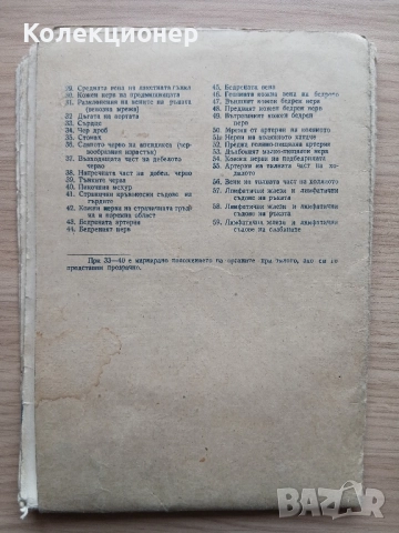 Анатомичен модел, фотоиздателство "Георги Пасков" , снимка 5 - Ученически пособия, канцеларски материали - 51875646