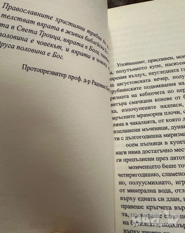 Влакът за Емаус -Теодора Димова, снимка 3 - Художествена литература - 51826709