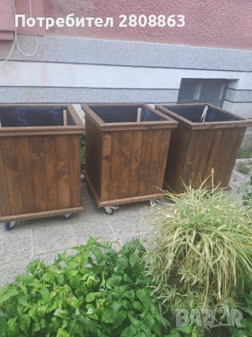 кашпи саксии 