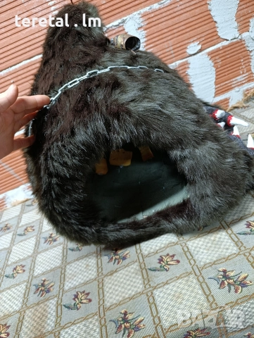 Глави на мечки . Голями, снимка 7 - Други стоки за животни - 52850788