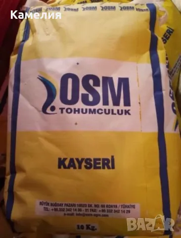 Семе люцерна