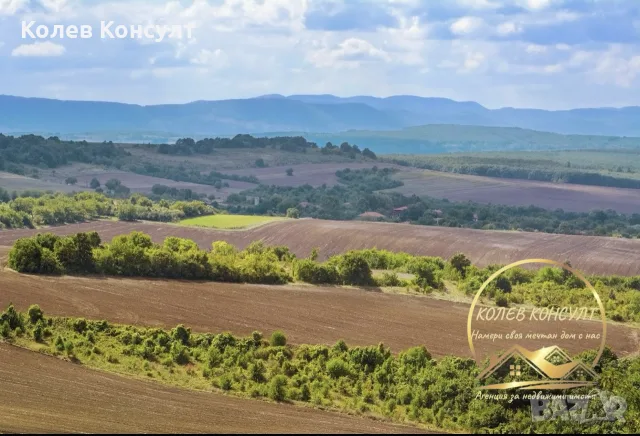 земеделска земя село Жълти бряг общ.Стамболово
