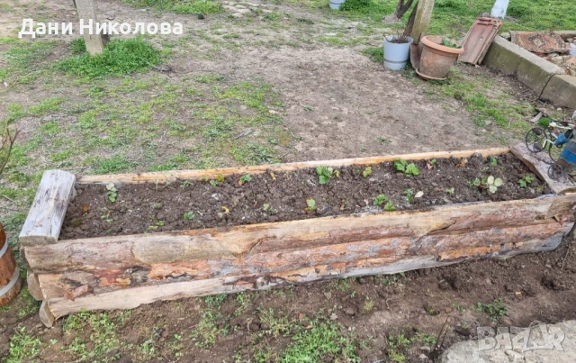 Дървена кашпа, снимка 5 - Саксии и кашпи - 53993047