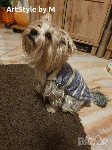 Плетена дрешка за куче М размер Различни цветове , снимка 16 - За кучета - 44343726