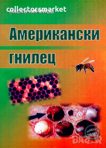 Американски гнилец