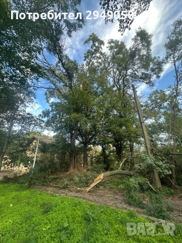 Почистване на дворове и всякакъв вид парцели