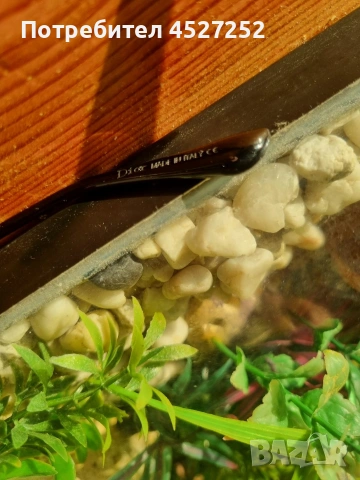 Дамски слънчеви очила DIOR Оригинал, снимка 3 - Слънчеви и диоптрични очила - 53911960